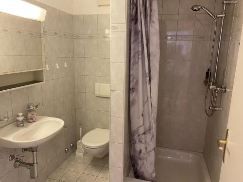 圣莫里茨St. Moritz的一间带水槽、卫生间和淋浴的浴室