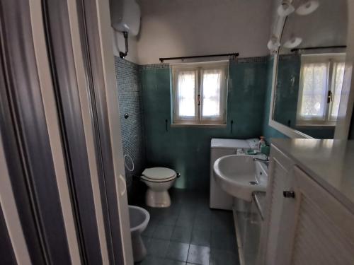 佩斯基奇Tenuta Solleone的浴室配有白色卫生间和盥洗盆。