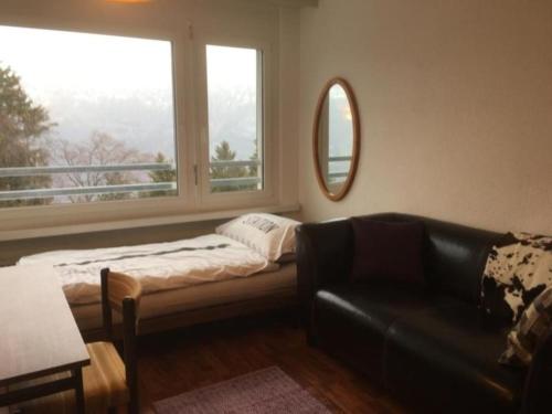 芙露姆赛山Unterkunft FLUMSERBERG TANNENHEIM的带沙发和窗户的客厅