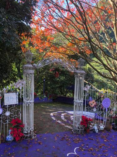 泰安乡云梦山林民宿 的花园入口,带拱门和鲜花