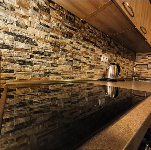 萨拉热窝Mysterylodge Bjelašnica Treskavica的厨房配有石墙台面