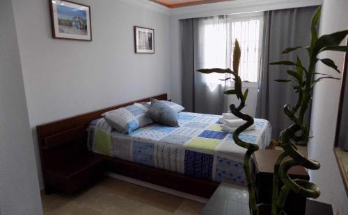 马拉加La Farola Centro de Málaga con Parking 445 Max的一间卧室配有一张床和盆栽植物
