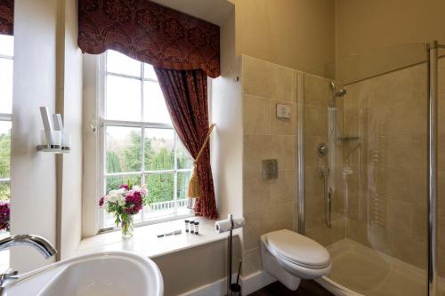 巴利纳Belleek Castle, Ballina的带淋浴、盥洗盆和卫生间的浴室