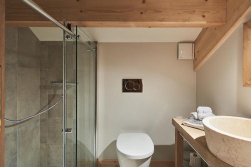 圣埃蒂安德蒂内埃Luxueux chalet avec terrasse Auron的带淋浴、卫生间和盥洗盆的浴室