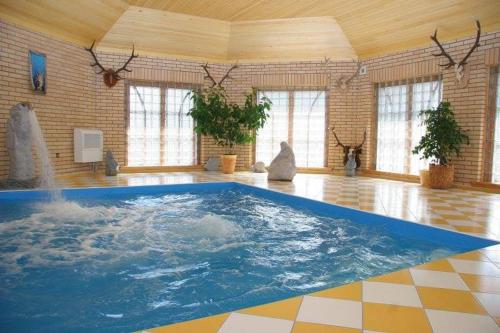 希奥利艾Šeduvos malūnas的一个带喷泉的房间的大型游泳池