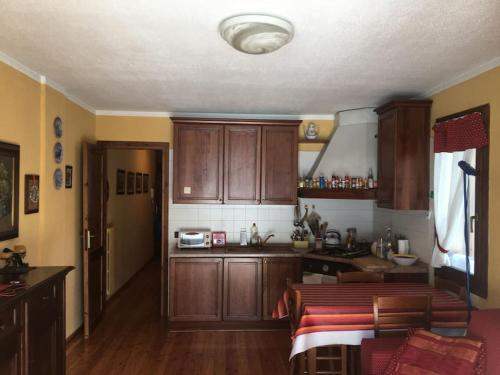 博格塔塞斯特雷Cozy mountains apartments的厨房配有木制橱柜和冰箱。