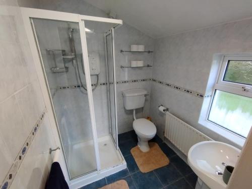 戈尔韦Cosy Cottage by the Sea的带淋浴、卫生间和盥洗盆的浴室