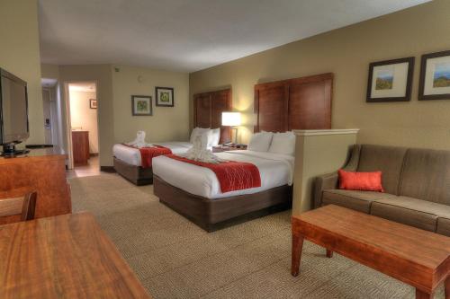 鸽子谷多利伍德街康福特茵酒店的酒店客房,设有两张床和一张沙发