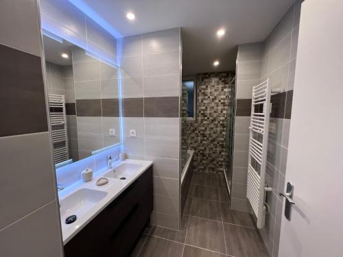 布雷斯特Appartement brest st-marc 6-8personne 2min centre的浴室配有盥洗盆和步入式淋浴间。