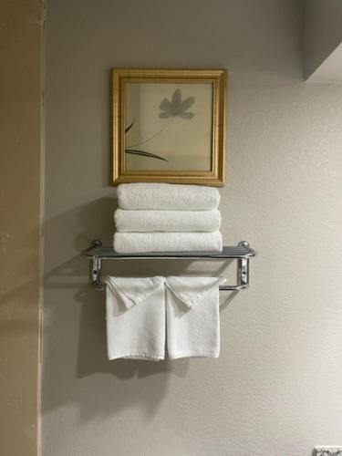 费耶特维尔费耶特维尔戴斯酒店的浴室毛巾架上的一堆毛巾