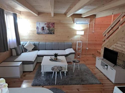 乌尔齐尼Olive & sea, Luxury two bedrooms cabin for 8的带沙发和电视的客厅