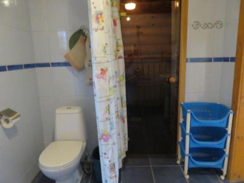 Saunaga külalistemaja, Tartust 9km kaugusel的一间带卫生间和淋浴帘的浴室