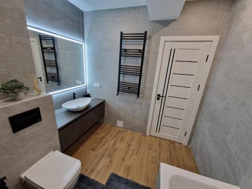 基希讷乌Dendrarium Park Apartment Deluxe的一间带水槽、卫生间和镜子的浴室