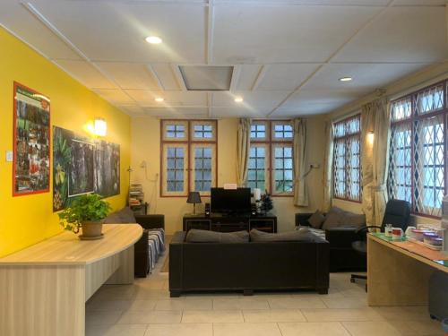 丹那拉打Vintage Guesthouse的客厅设有黄色的墙壁和沙发