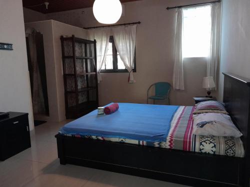 八丹拜Harmony House Stay的一间卧室配有一张带蓝色棉被的床和窗户。