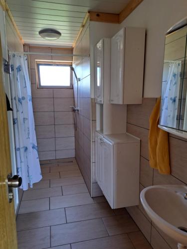 LužeGLAMPING HOUSE RANČ LUŽE的一间带水槽和卫生间的小浴室