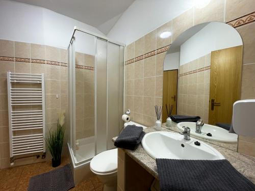 UničovHotel COLCHI的一间带水槽、淋浴和卫生间的浴室