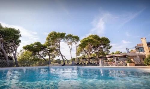 索马讷-德沃克吕兹Magnifique Vue CLIM LINGE Golf Saumane 6P Piscine Tennis的一座拥有蓝色海水和树木的大型游泳池