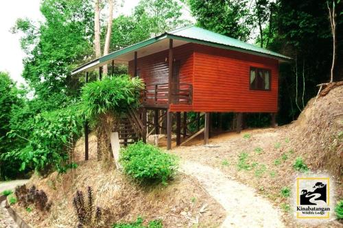 山打根Kinabatangan Wildlife Lodge的一座小木小屋,位于山丘上,种有树木