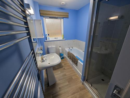 罗伊桥The Little Houses的蓝色的浴室设有水槽和淋浴