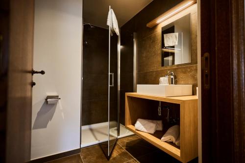 特鲁瓦蓬Logis Hotel La Métairie & Son Auberge的一间带水槽和淋浴的浴室