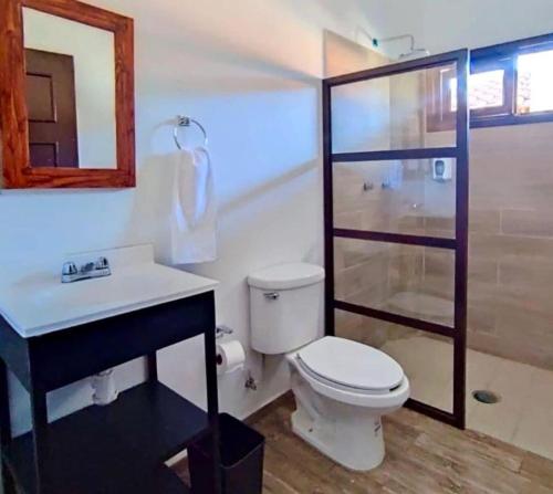 马萨米特拉Hotel Casa Francisca Mazamitla.的浴室配有卫生间、盥洗盆和淋浴。