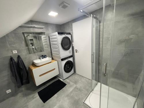 帕尔杜比采Apartmán Světla的一间带洗衣机和水槽的浴室