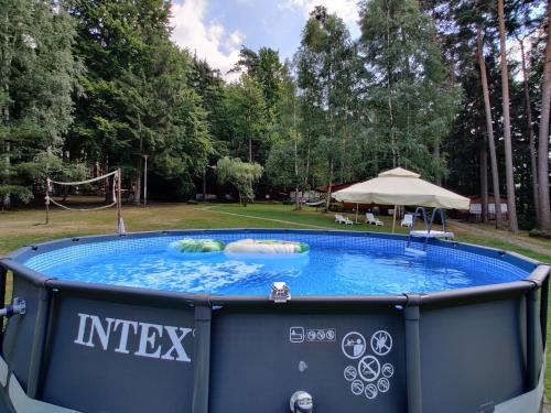 ZapustaOśrodek leśny Rajsko w Zapuście的庭院里的大型热水浴池,配有遮阳伞