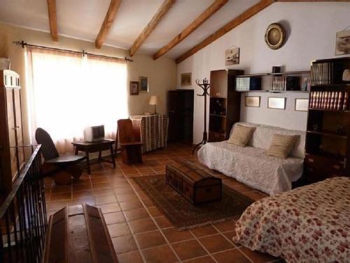 MarjalizaCasa Montes De Toledo的客厅配有床、沙发和桌子