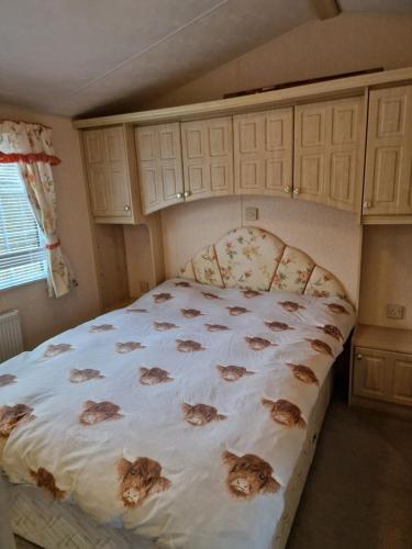 牛顿斯图尔特Castlewigg holiday park Whithorn 2 bed caravan的一间卧室,床上有床,上面有猫