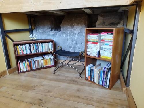 Tournemirechateau d'eau logement insolite的两把书架的房间的椅子