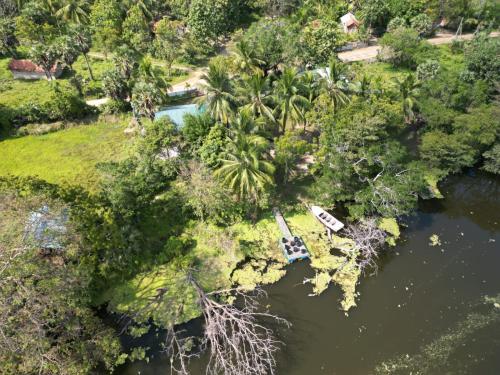 AchchamulaiWilpattu Green Cabin的享有棕榈树和船只河流的空中景致