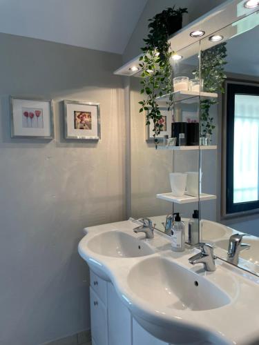 维里尔·杜·拉克Maisonnette vue panoramique lac d'Annecy的浴室设有2个水槽和镜子