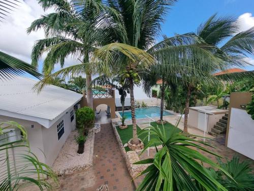 威廉斯塔德Villa Hye的棕榈树和游泳池的房子