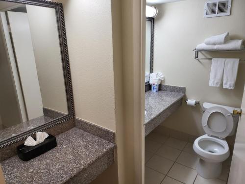 亨博尔华美达休斯敦洲际机场东酒店的一间带卫生间和镜子的浴室