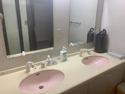 三好市Iya Kankou Ryokan的浴室设有粉红色的盥洗盆和镜子