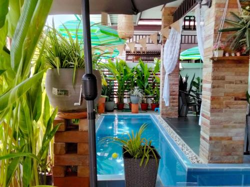 班昌旷野住宿加早餐旅馆的一座种植了植物的室内游泳池和一把遮阳伞