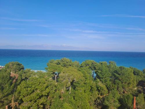 西洛卡特伦Evita Blue的海洋和森林的空中景观