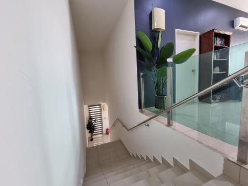 LabuAluha Homestay Sendayan with Swimming Pool的走廊上设有种植了盆栽植物的楼梯