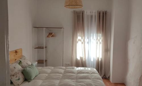 格拉茨莱马Casa Lucas的一间卧室设有一张床和一个大窗户