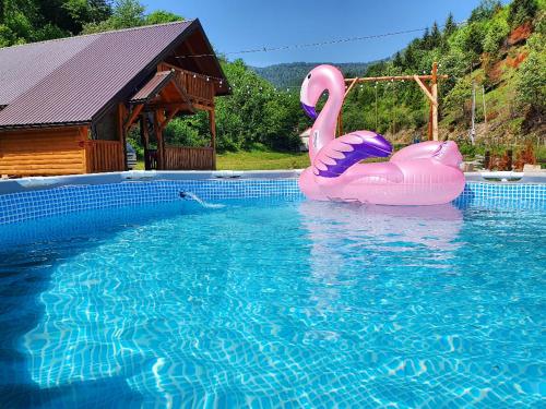 萨拉热窝Mysterylodge Bjelašnica Treskavica的水中带两个粉红色火烈鸟的游泳池