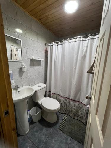 El TorreónCabañas Vista Hermosa Radal 7 Tazas的浴室配有白色卫生间和盥洗盆。