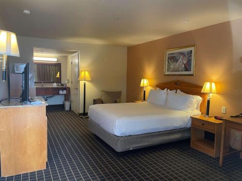 圣何塞SureStayPlus Hotel by Best Western San Jose Central City的配有一张床和一台平面电视的酒店客房