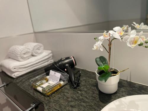 洛斯·亚诺斯·德·阿里丹维莱阿里达内酒店的浴室柜台配有鲜花、相机和毛巾