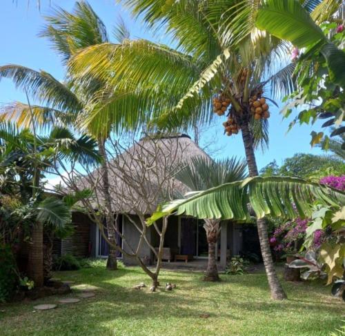 Bain BoeufBrahmanhut - Eco Hut experience in harmony with nature, wellbeing and spirit的庭院前有棕榈树的房子