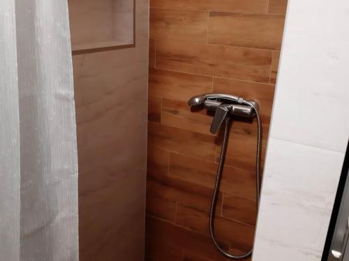 萨普伦纳拉弗兰卡萨普伦纳拉公寓的带淋浴的浴室(带木墙)