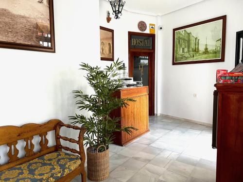 科尔多瓦阿尔曼佐旅馆的一间带长凳和植物的客厅