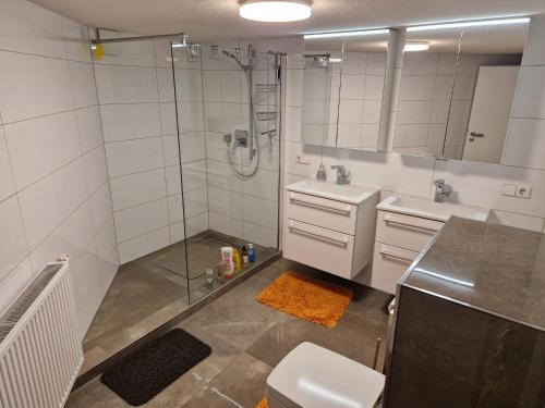 穆更斯托姆Monteurzimmer-mit GemeinschaftsBad und Küche BEI RASTATT的带淋浴、卫生间和盥洗盆的浴室