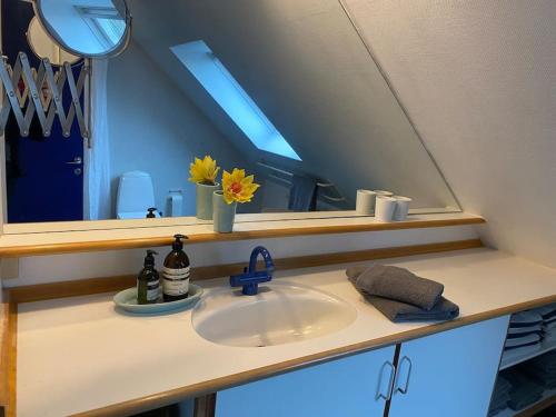 吉弗Skønt hus på landet tæt på Billund的浴室配有盥洗盆、镜子和盥洗盆