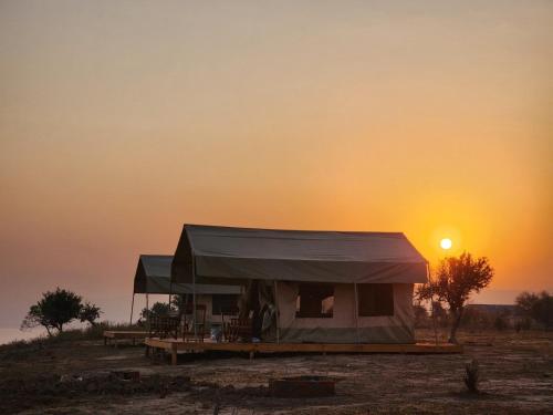 Kisarukabwoya Safari camp Kaiso village的地里的一个帐篷,背景是日落